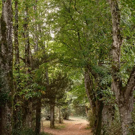 Le Domaine De Camboyer, The Originals Collection 4*