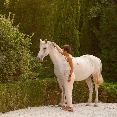 Le Domaine De Camboyer, The Originals Collection Hotel 4*