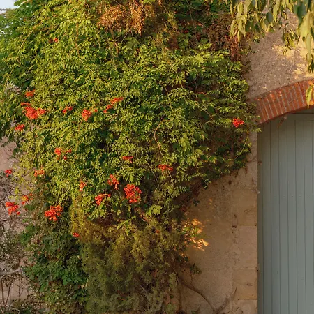 Le Domaine De Camboyer, The Originals Collection Hotel