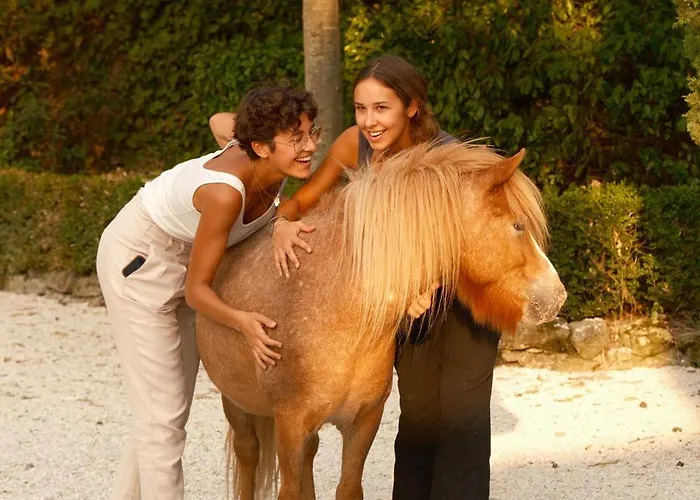 Ξενοδοχείο Le Domaine De Camboyer, The Originals Collection 4*