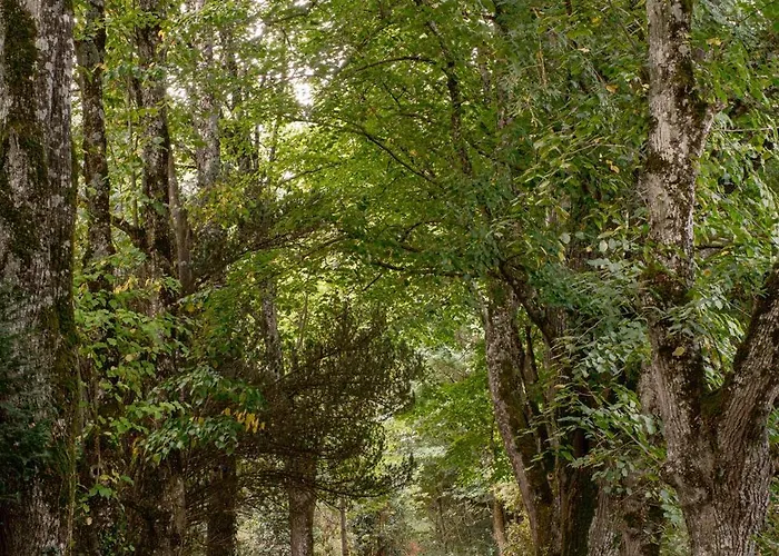 Le Domaine De Camboyer, The Originals Collection 4*